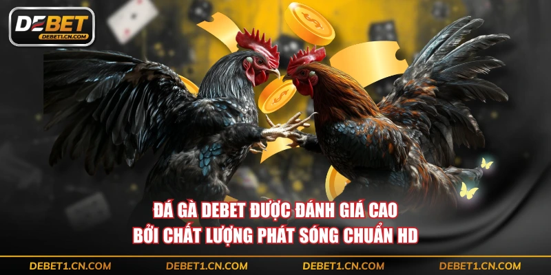 Đá gà DEBET được đánh giá cao bởi chất lượng phát sóng chuẩn HD
