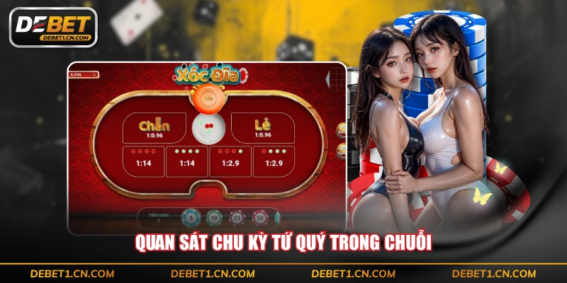 Quan sát chu kỳ tứ quý trong chuỗi
