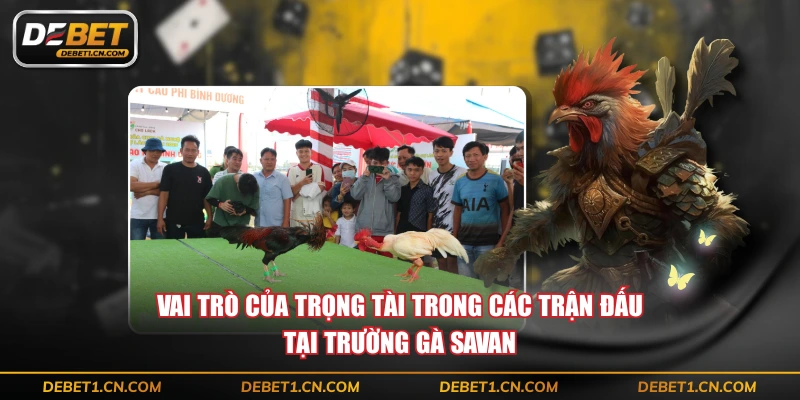 Vai trò của trọng tài trong các trận đấu tại trường gà Savan